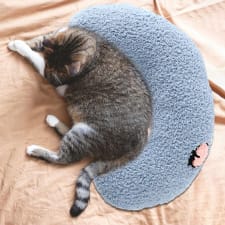 Almohada Para Mascotas Sueño Cómodo Chupete Cama Para El Almohada Para Mascotas Sueño Cómodo Chupete Cama Para El
